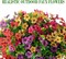12 Bundles Artificial Flowers for Outdoors, UV Resistant Fake Outdoor Flowers No Fade Faux Outdoor Flowers Plants for Garden Porch Window Box Farmhouse Pot Planters Decor (Multi ColorA)